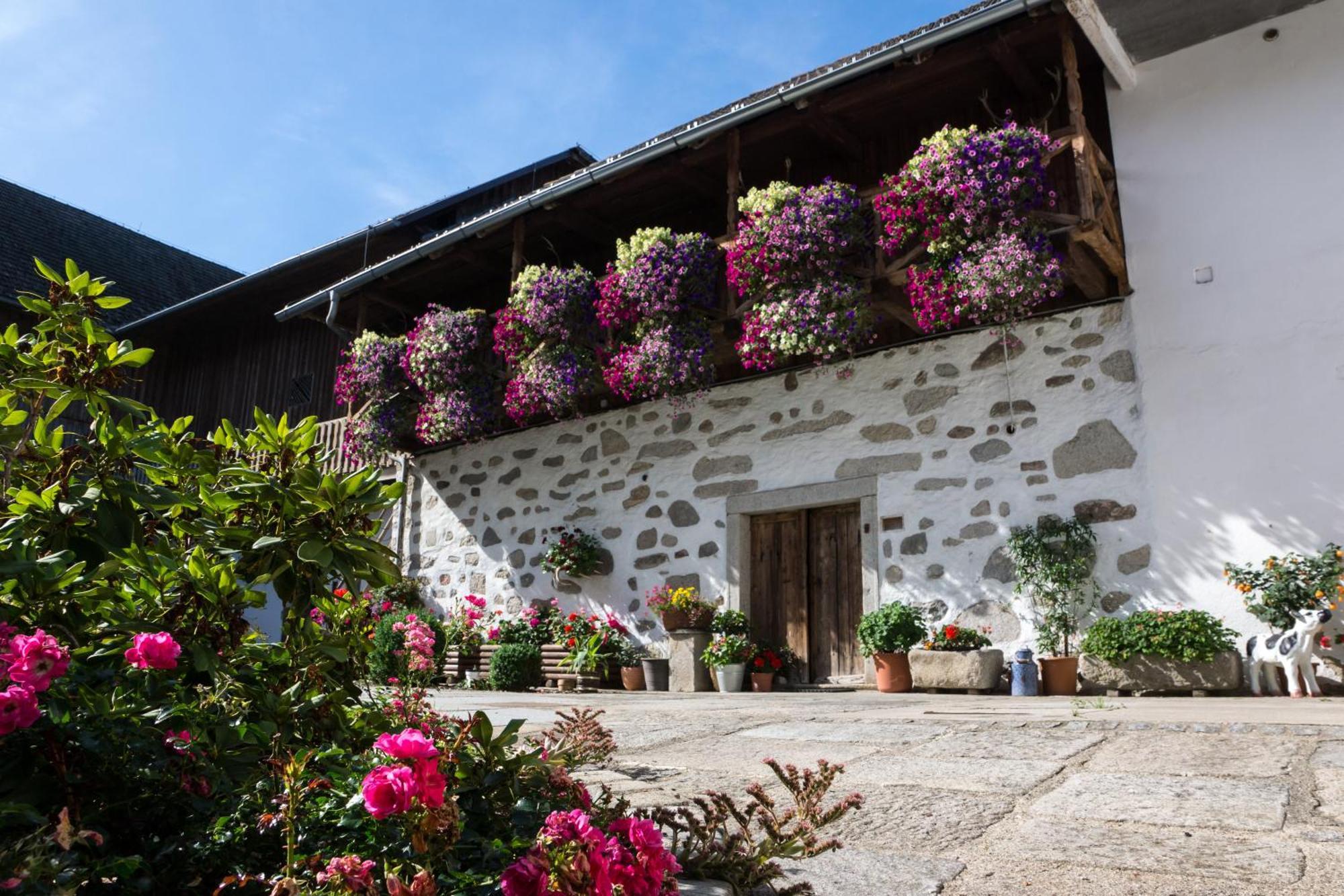 Gasthof Pammer Mardetschlag Exterior foto